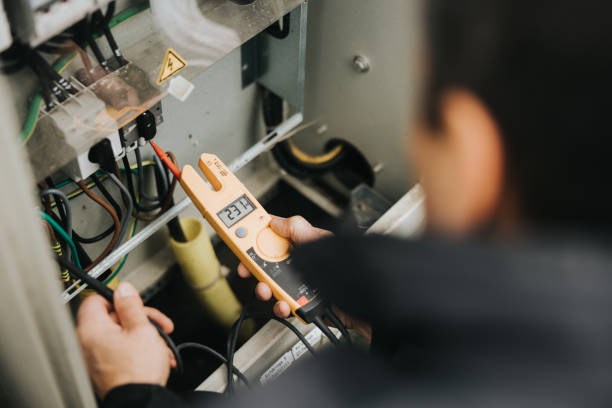 Best Affordable Electrician  in Luna Pier, MI