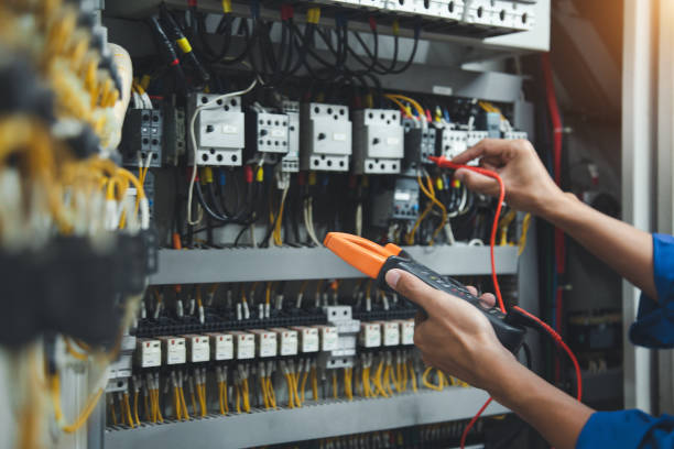 Best 24-Hour Electrician  in Luna Pier, MI