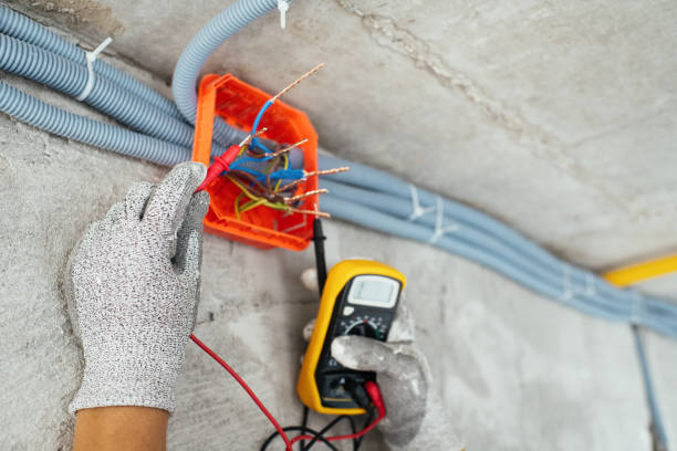 Best Circuit Breaker Repair  in Luna Pier, MI