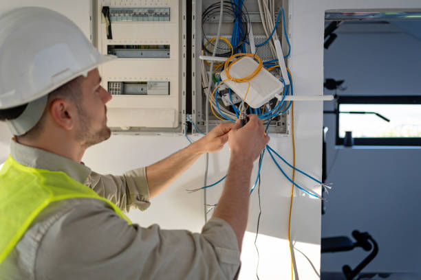 Best Electric Panel Repair  in Luna Pier, MI
